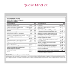 Qualia Mind 2.0
