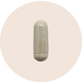 Suntheanine L-Theanine