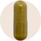 Blood Sugar Essentials