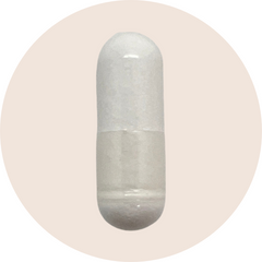 MSM 500mg