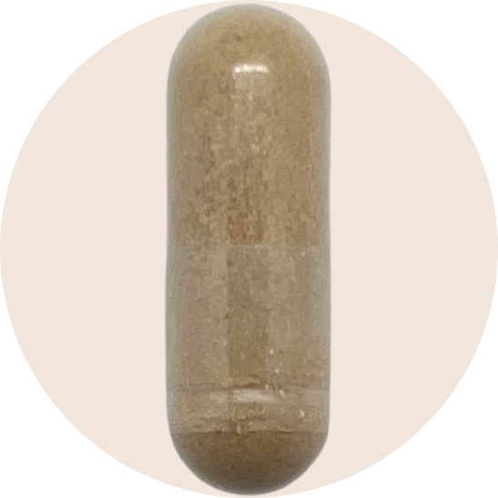 Nrf2 Renew® Nutrient Nrf2 Inducers*