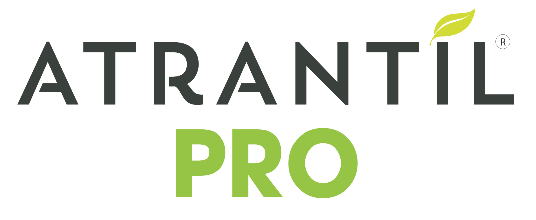 vendor_profile_picture