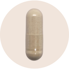 Liposomal Urolithin A 250mg