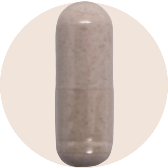 PRIME GUT HEALTH
