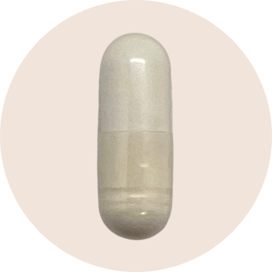 Akkermansia
