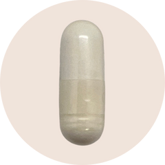 Akkermansia