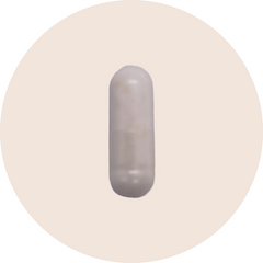Digesta Guard Forté 10™
