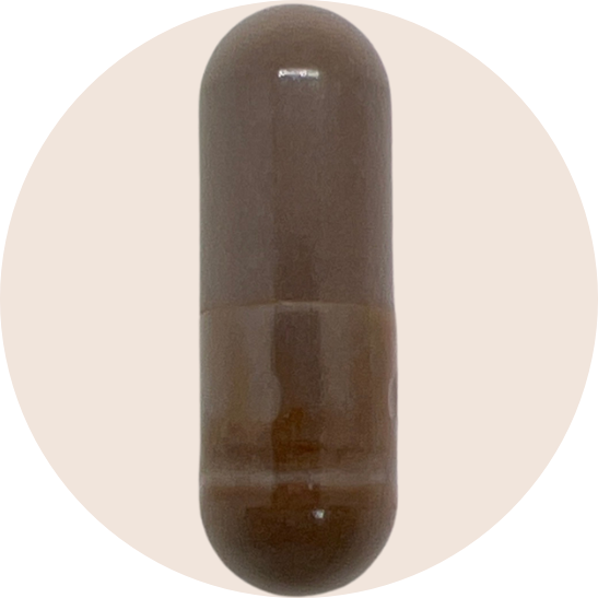 Organic Chaga Extract