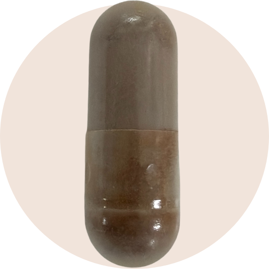 Organic Chaga Extract