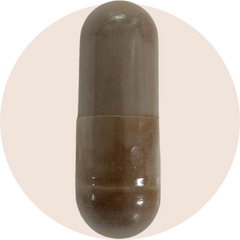 Organic Chaga Extract