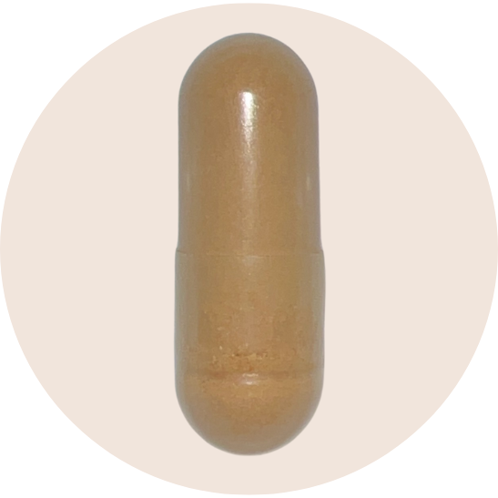 Organic Cordyceps Extract Capsules