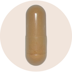 Organic Cordyceps Extract Capsules