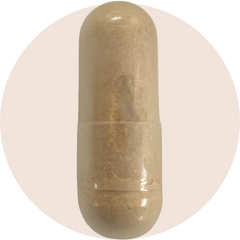 Ergo + Ergothioneine