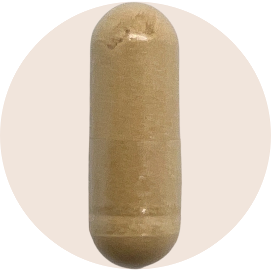 Organic Lions Mane Extract Capsules