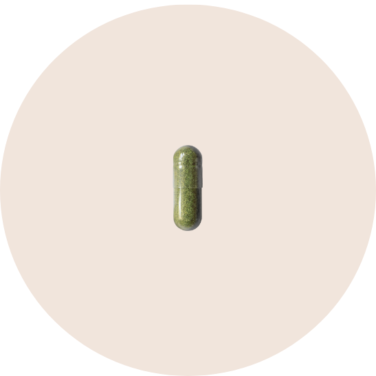 Herbatonin 0.3 mg