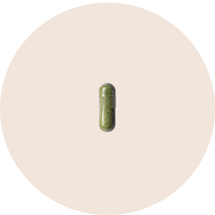 Herbatonin 0.3 mg