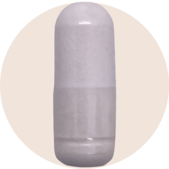 Acetyl L-Carnitine