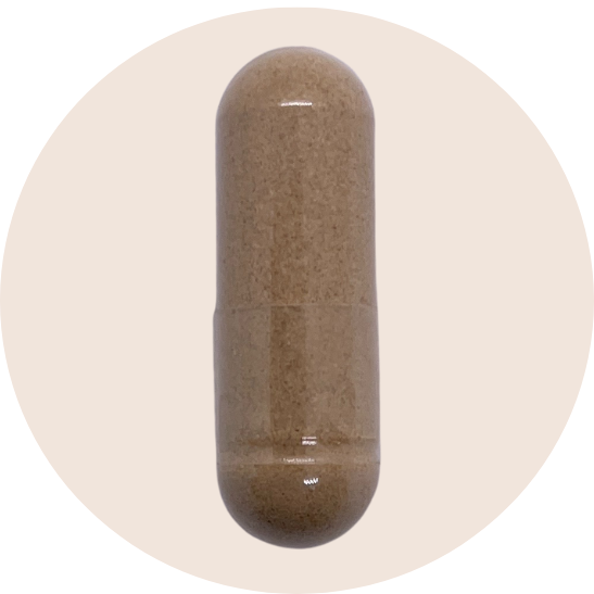 Full Spectrum Astragalus Root