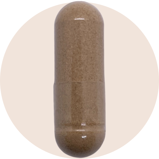 Full Spectrum Astragalus Root