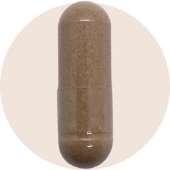 Full Spectrum Astragalus Root