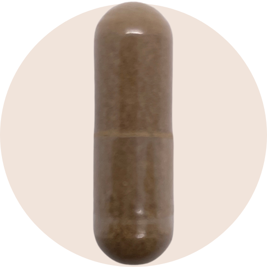 Black Cohosh Root