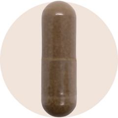 Black Cohosh Root