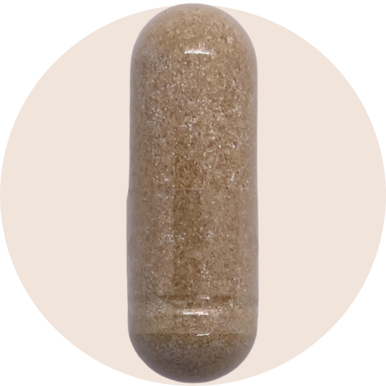 Chinese Skullcap
