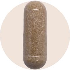 Chinese Skullcap