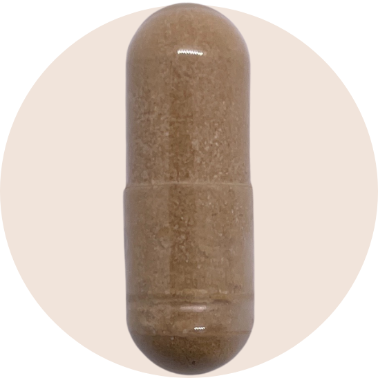 Fucoidan Extract