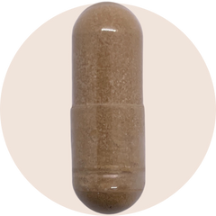 Fucoidan Extract