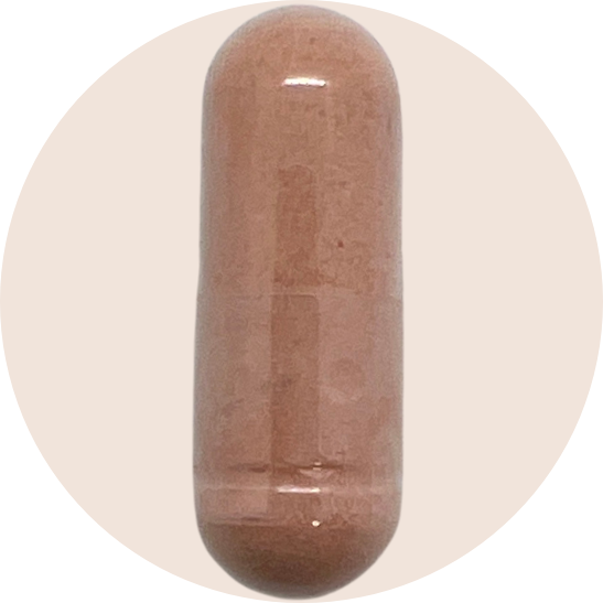 EGCG Green Tea Extract