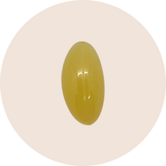 Plant Sterols