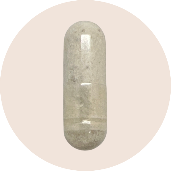 Ultimate 16 Strain Probiotic with FOS