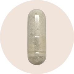 Ultimate 16 Strain Probiotic with FOS