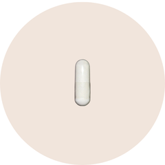 DHEA - High Potency