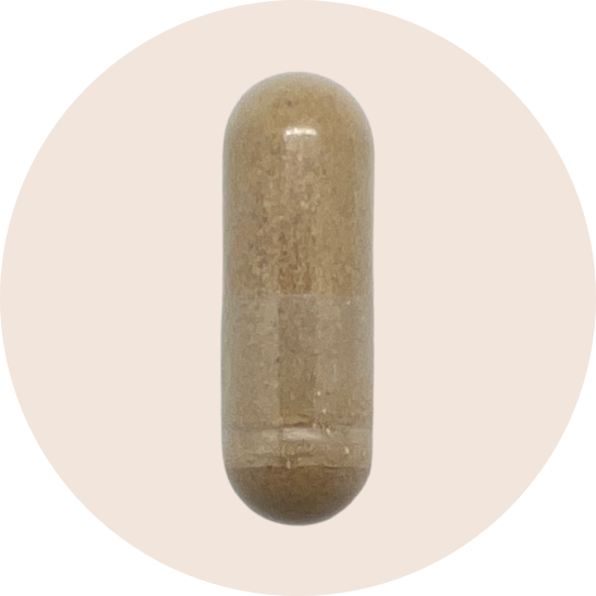 Shilajit Extract