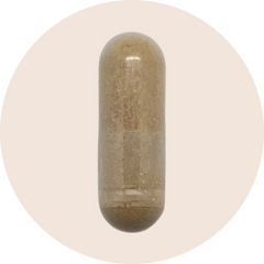Shilajit Extract