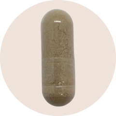 Liver support