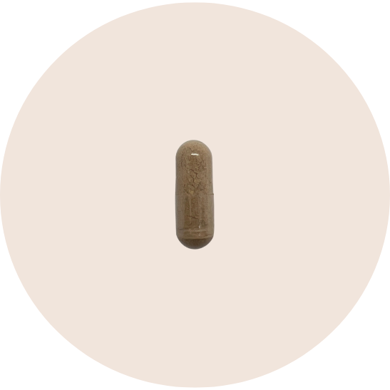 Liver support