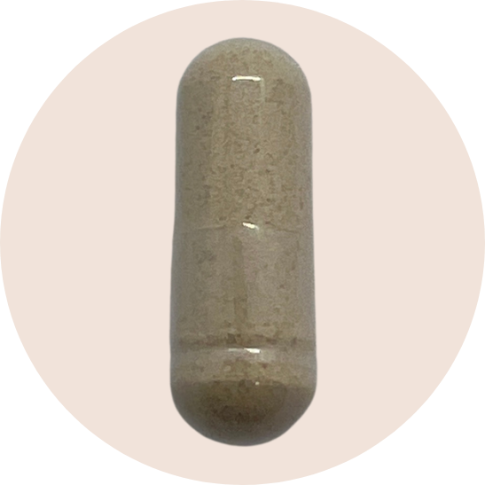 Protease