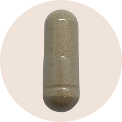 Protease