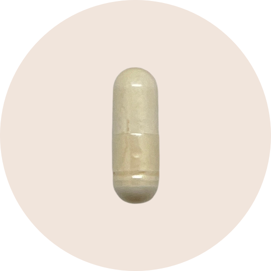 Transbiotic