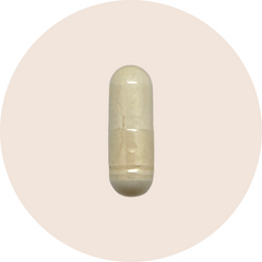 Transbiotic