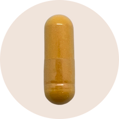 CoQ10 Ubiquinone
