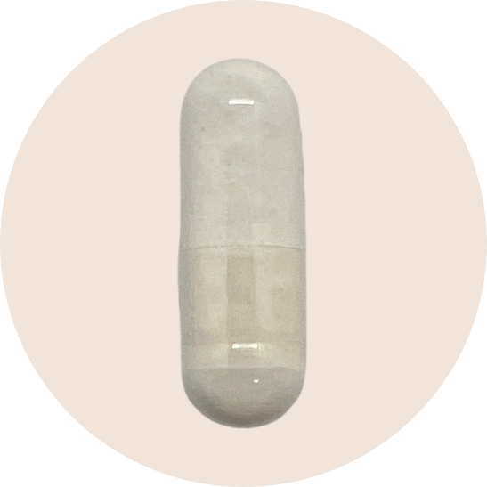 Digestive Enzymes