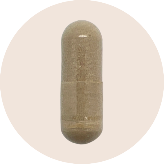Testosterone Support