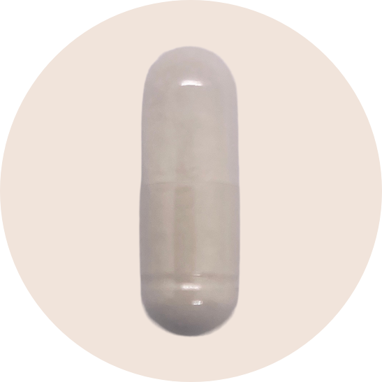 Kyolic Aged Garlic Extract Cardiovascular Formula 100