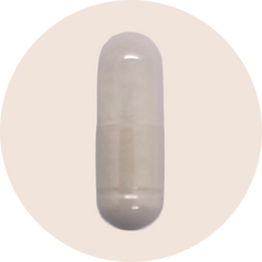 Kyolic Aged Garlic Extract Cardiovascular Formula 100