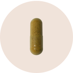 resB® Lung Support Probiotic